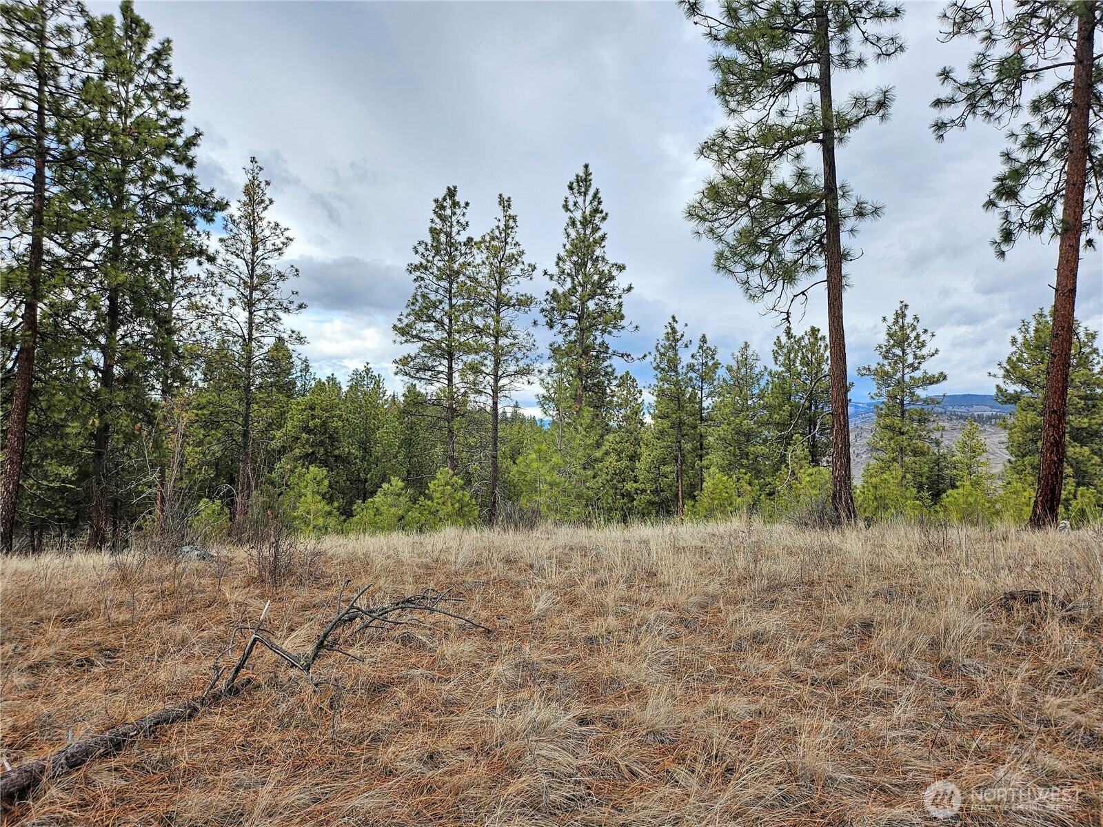 315 W Corral Drive Property Photo 10