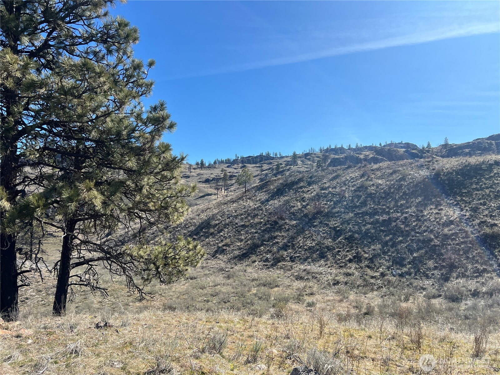 0 Nna Soap Lake Road Property Photo 1