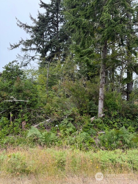 577 Sunset Avenue Property Photo 1