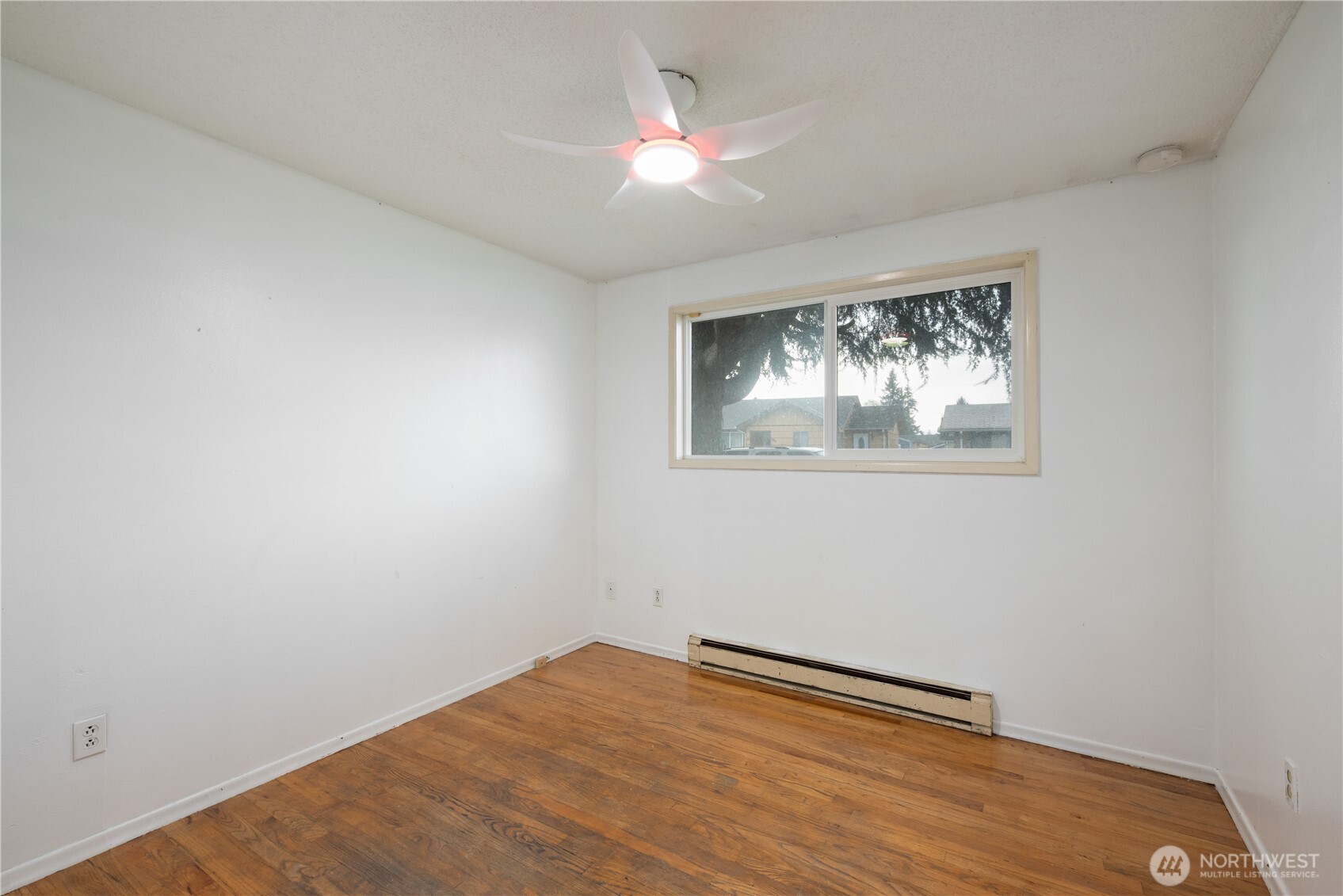 359 Douglas Street Property Photo 19