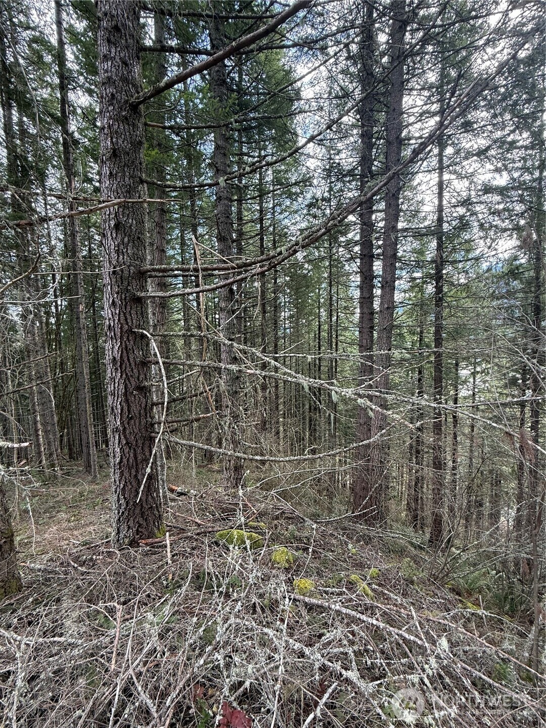 53007 128th Avenue Property Photo 3