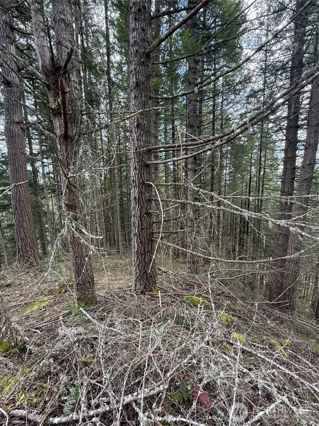 53007 128th Avenue Property Photo 4