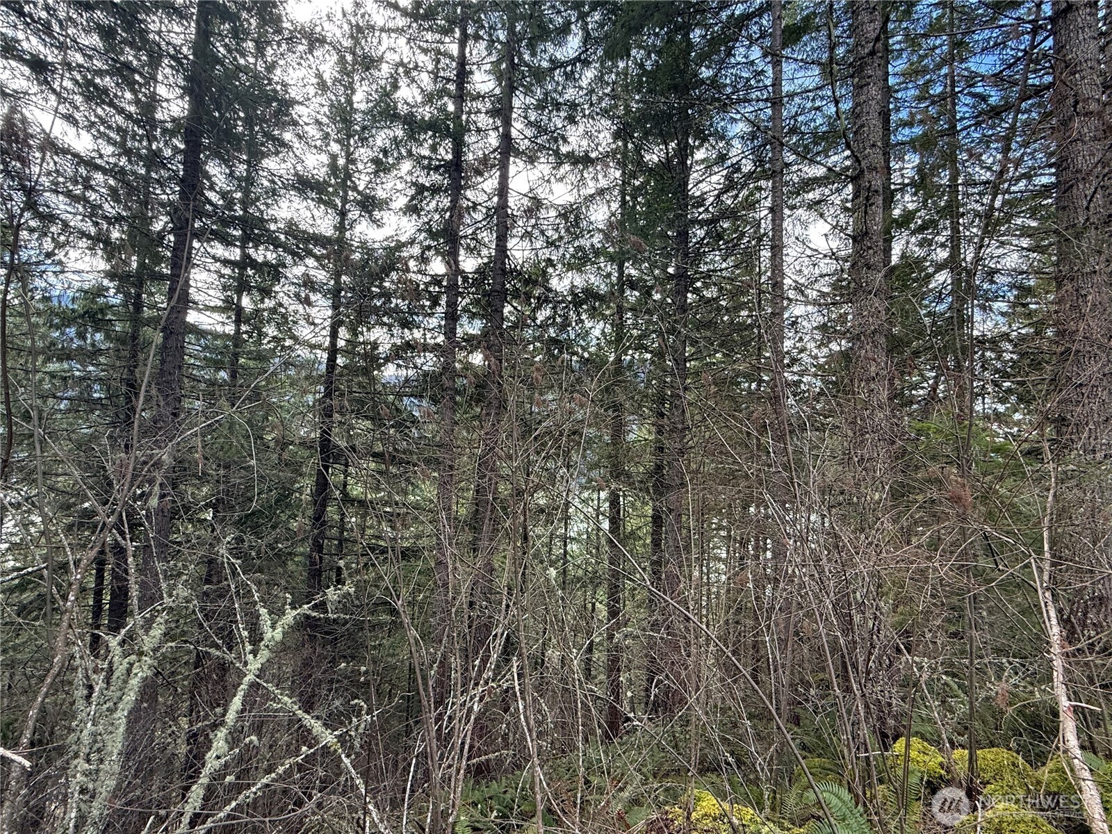 53007 128th Avenue Property Photo 6
