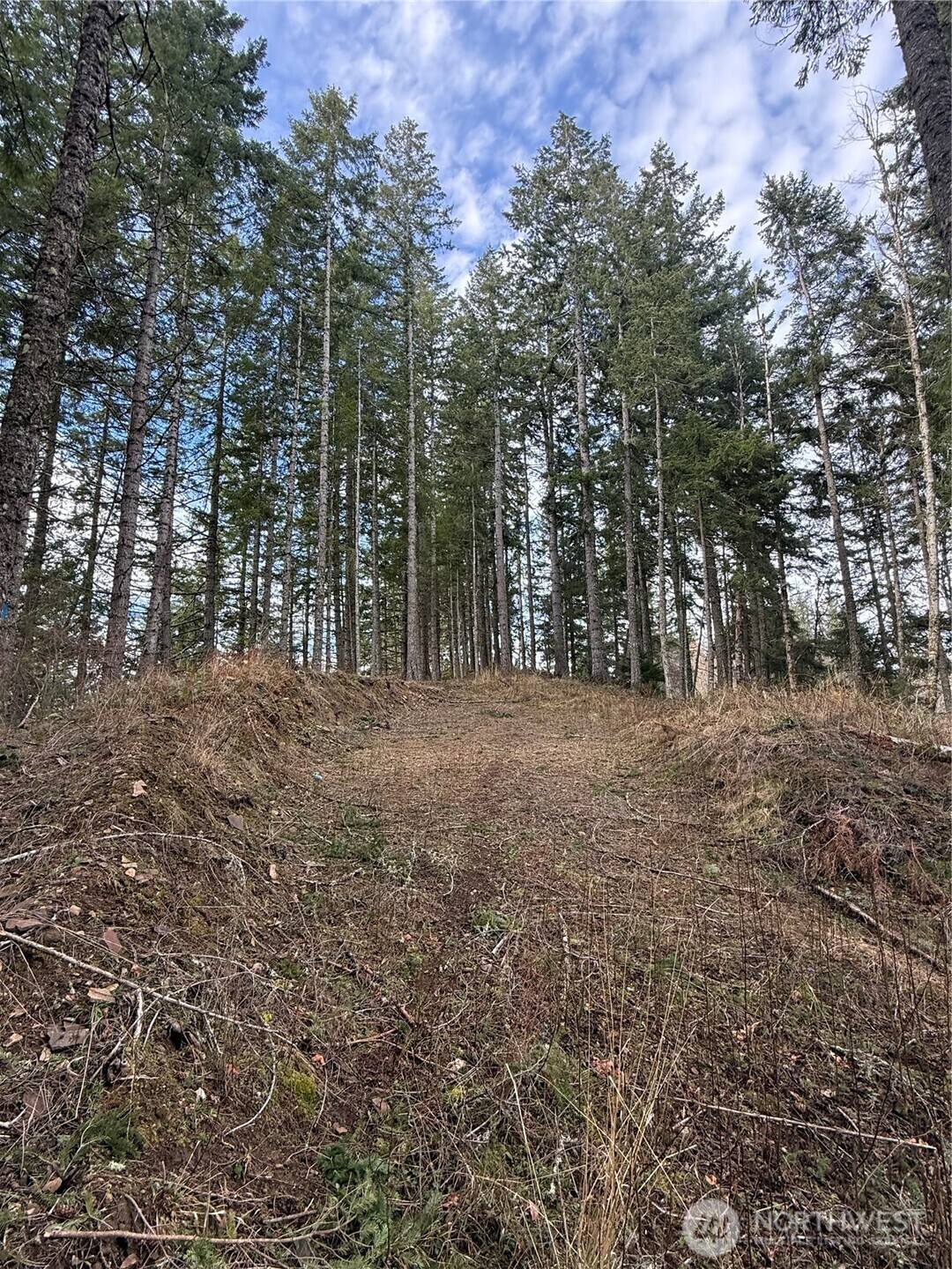 53007 128th Avenue Property Photo 8