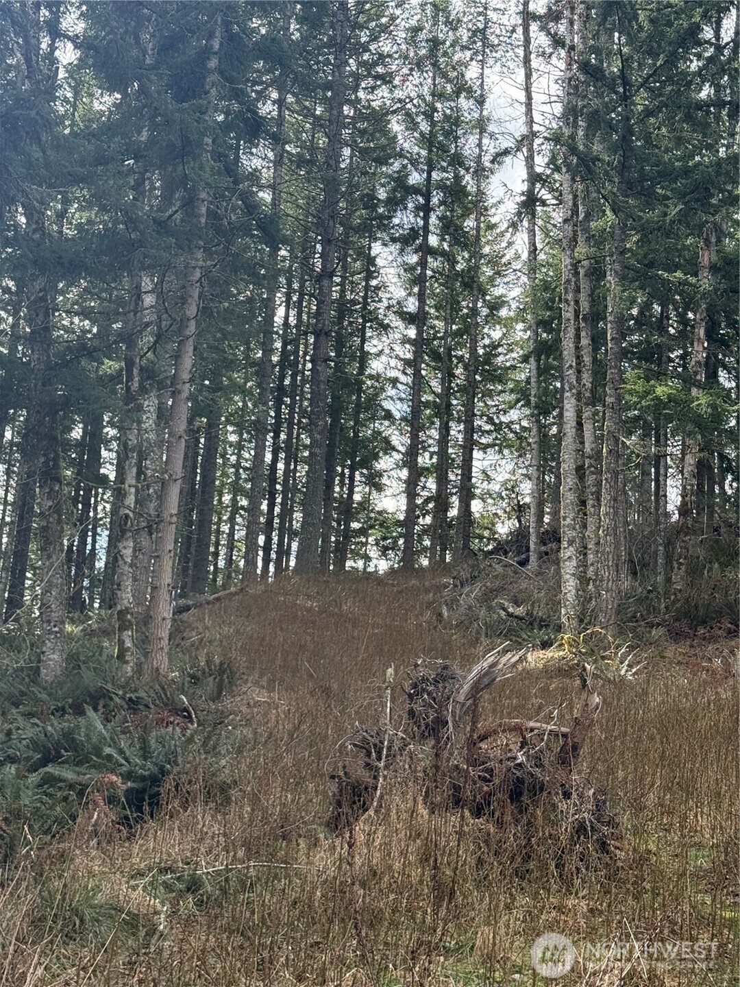53007 128th Avenue Property Photo 13