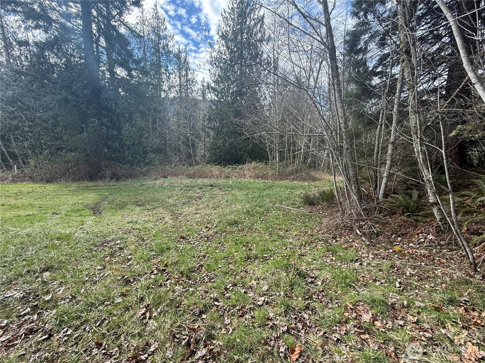 53007 128th Avenue Property Photo 15