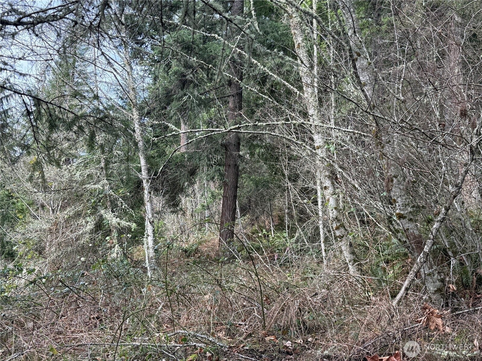 53007 128th Avenue Property Photo 16