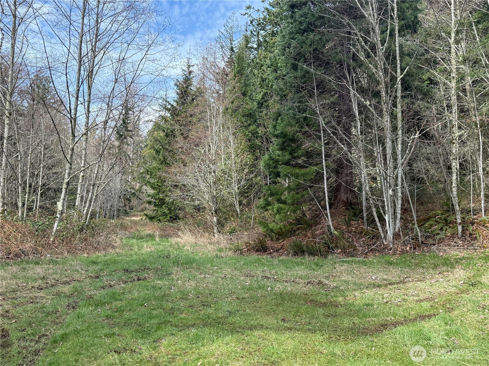 53007 128th Avenue Property Photo 20