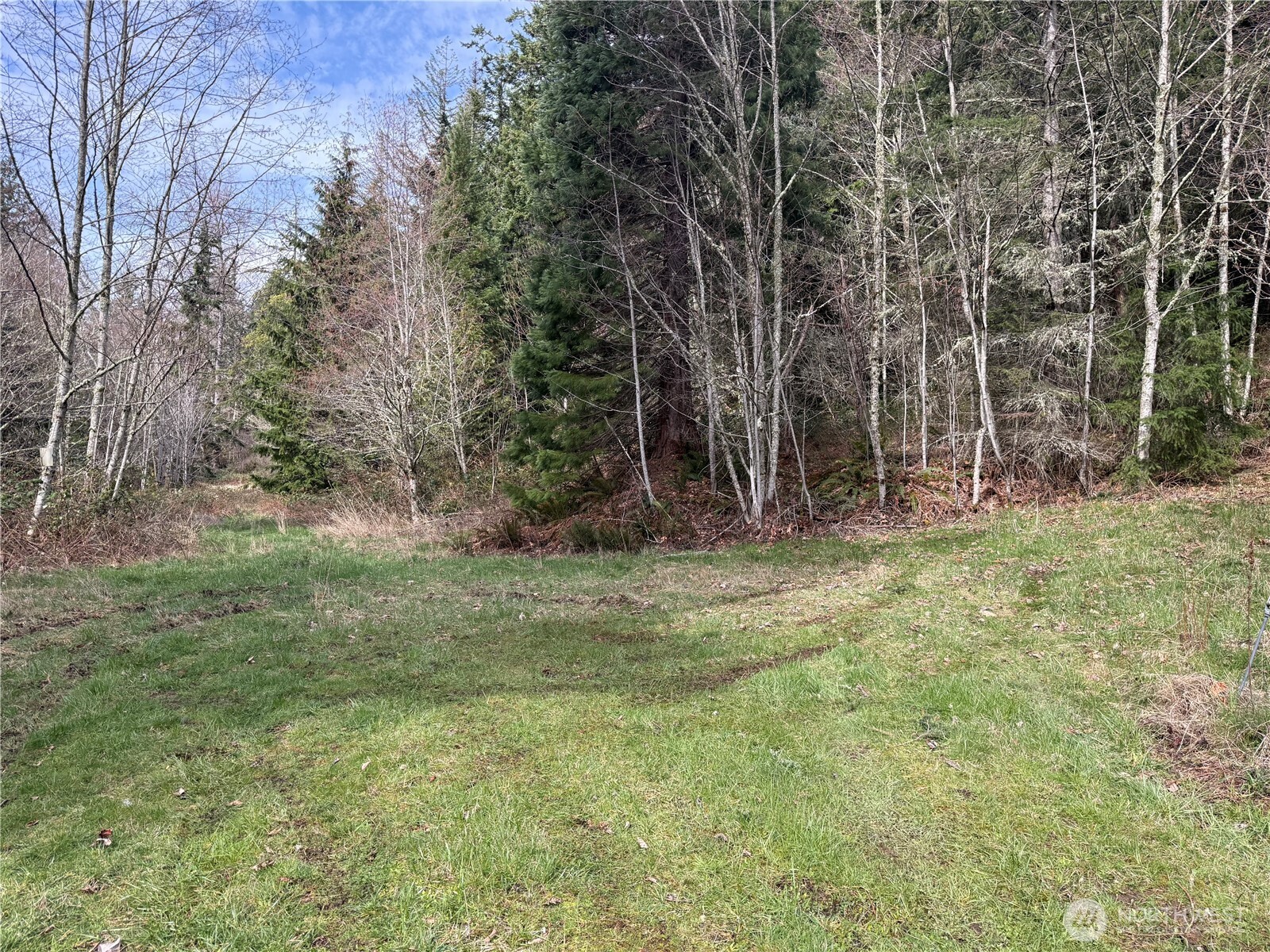53007 128th Avenue Property Photo 21