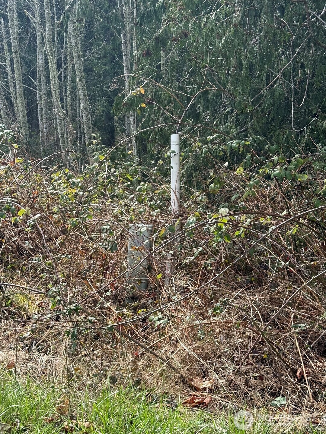 53007 128th Avenue Property Photo 22