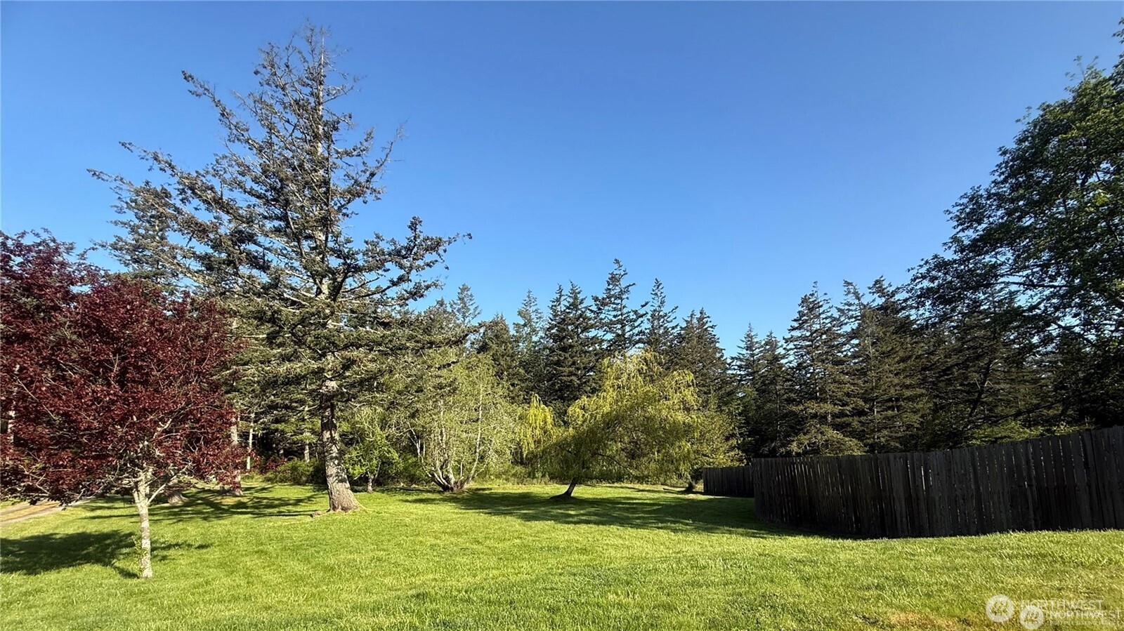 168 Jackson Road Property Photo 39