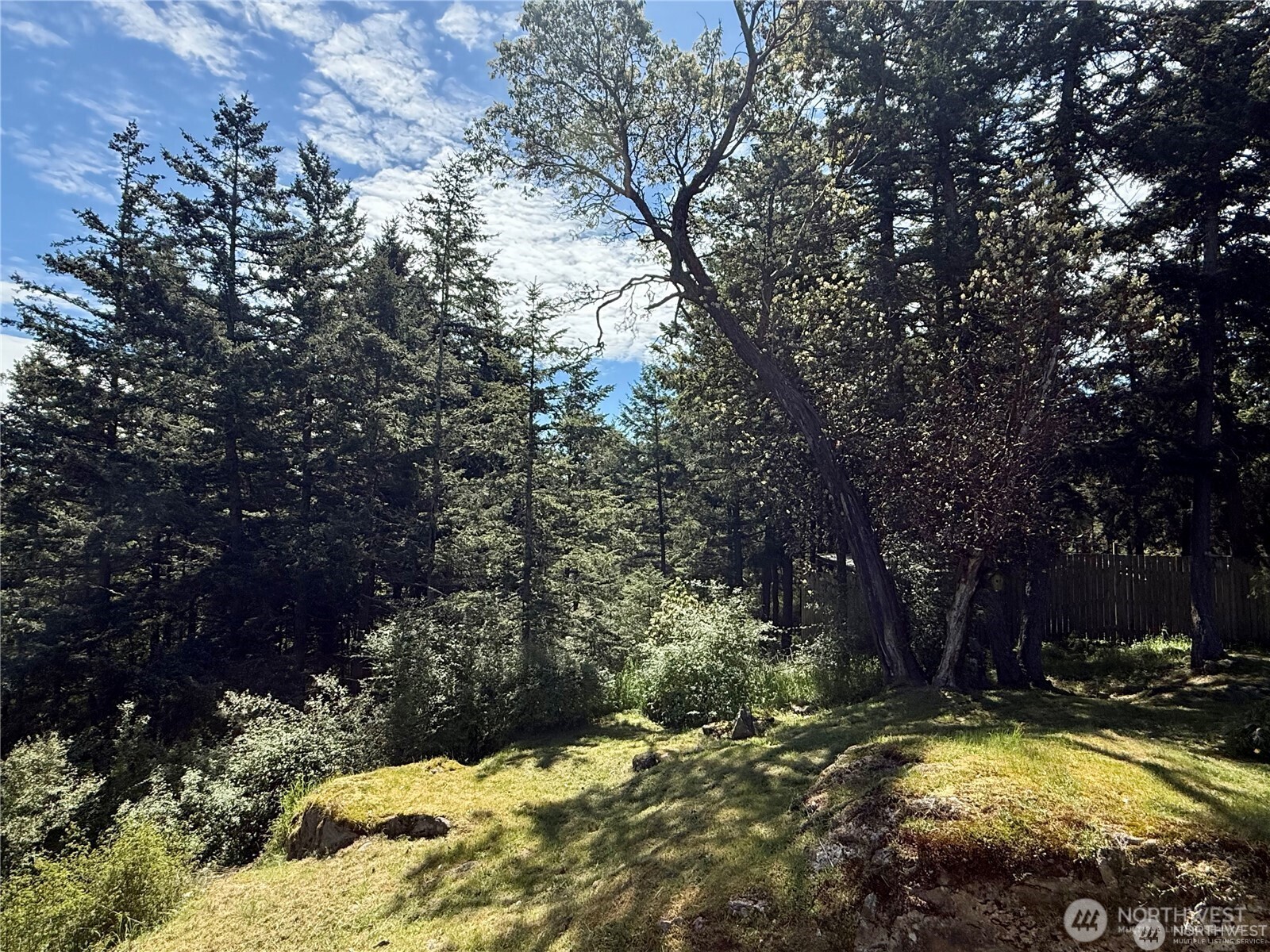 168 Jackson Road Property Photo 40