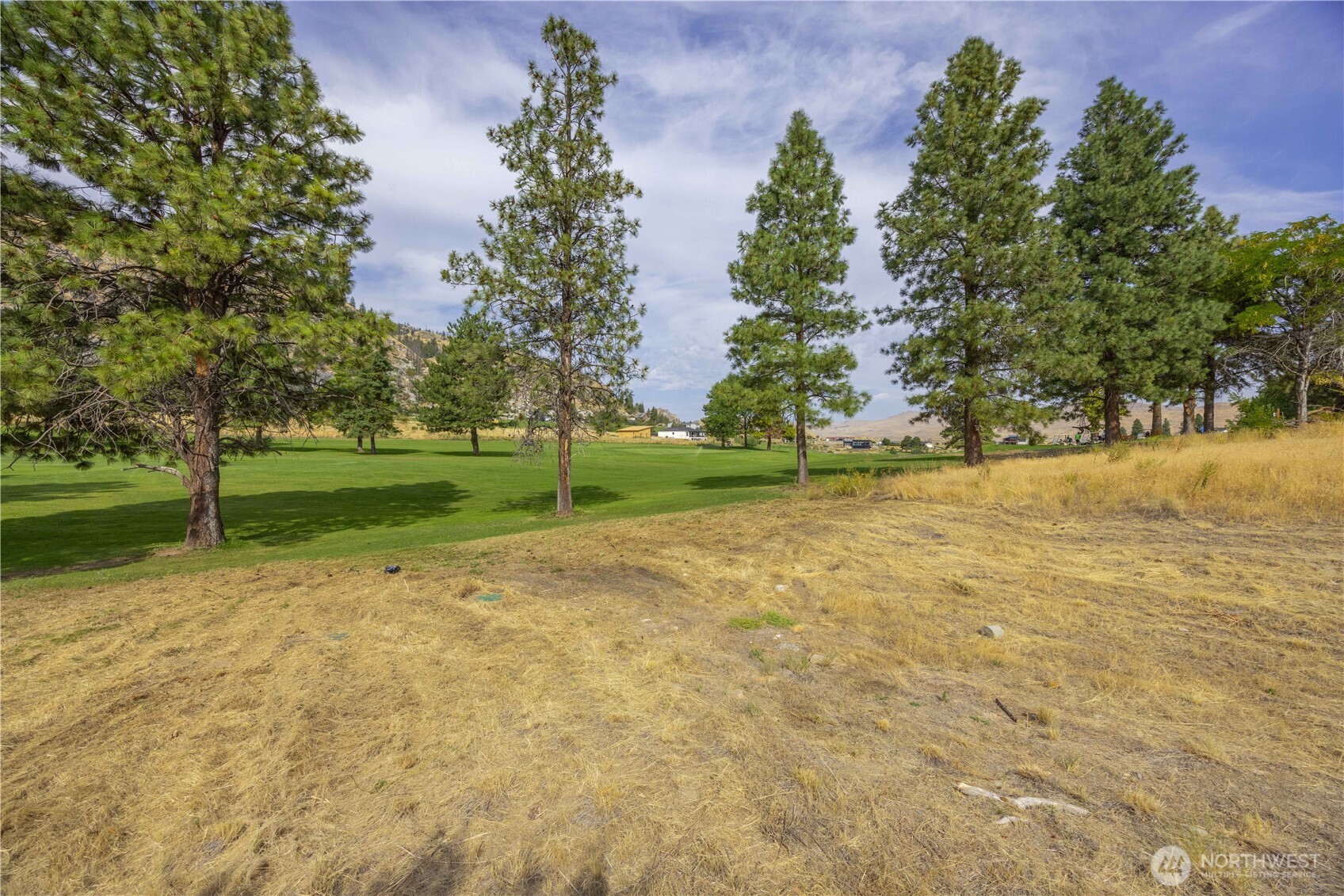 103 Golf Course Dr. Property Photo 14