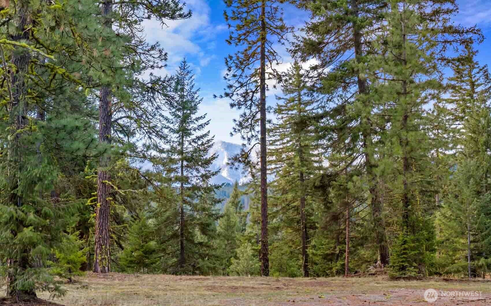 17 Wanawish Loop Property Photo 24