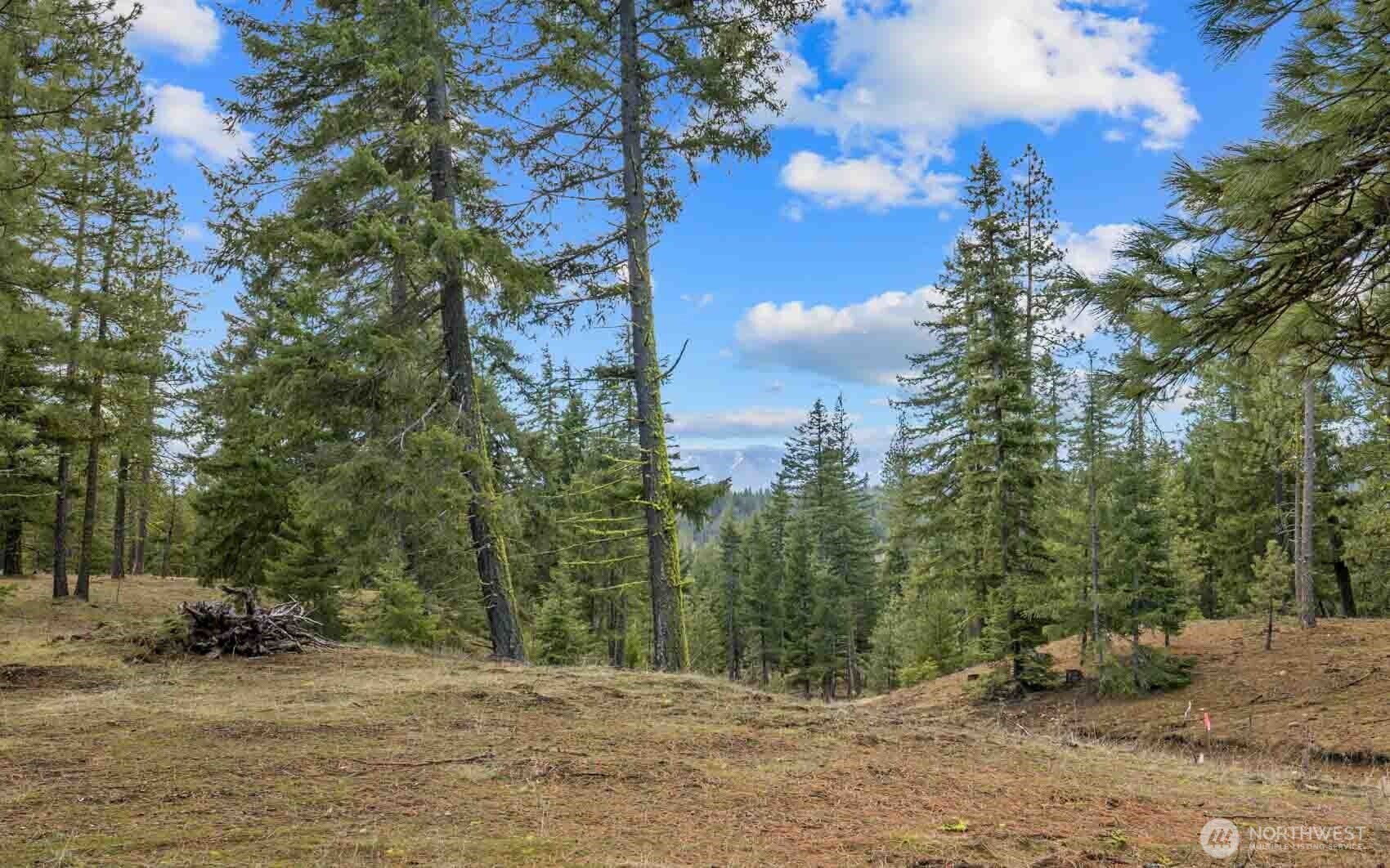 17 Wanawish Loop Property Photo 25