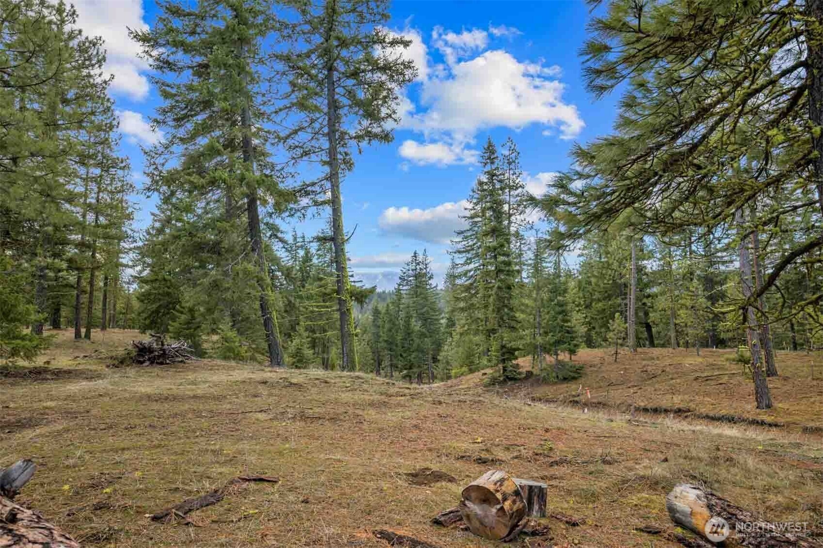 17 Wanawish Loop Property Photo 26