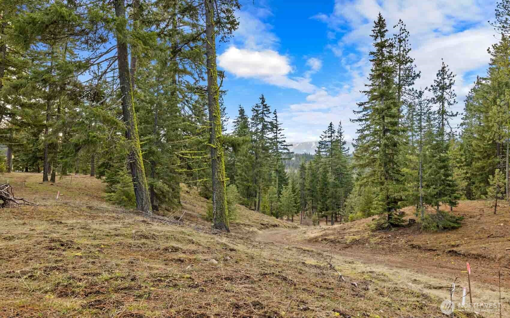 17 Wanawish Loop Property Photo 27