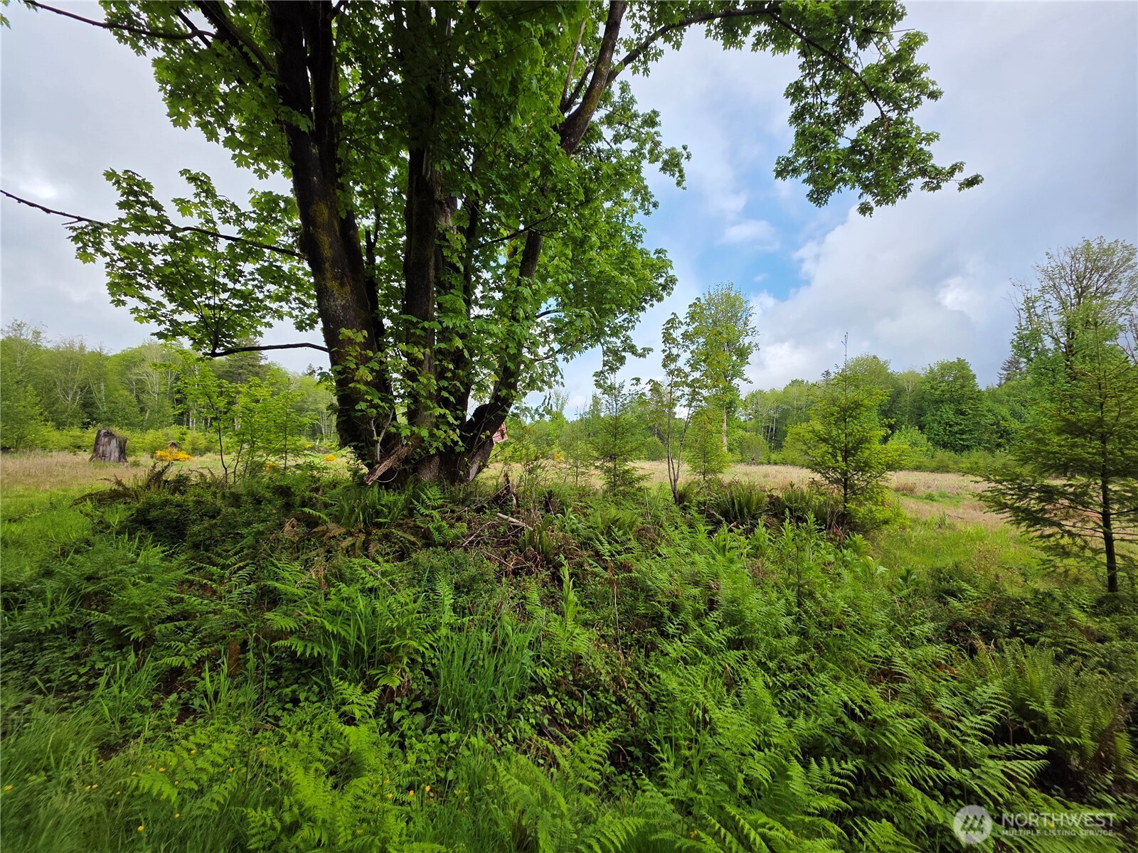 0 Xx W Maple Rock Road Property Photo 4