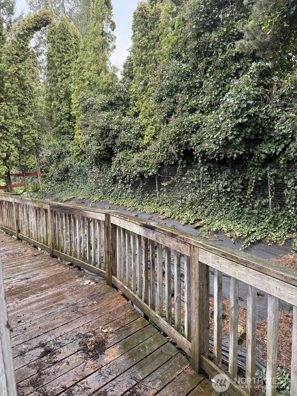 14003 70th Street Property Photo 19