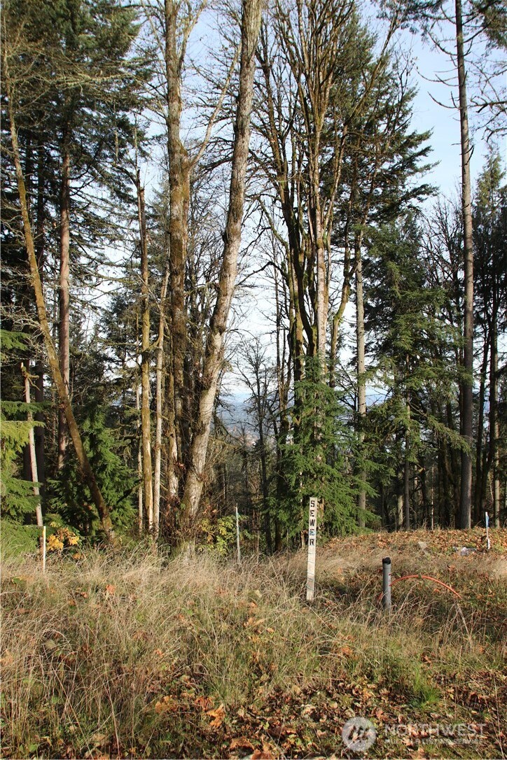 17760 Se 62nd Place Lot 9 Property Photo 6