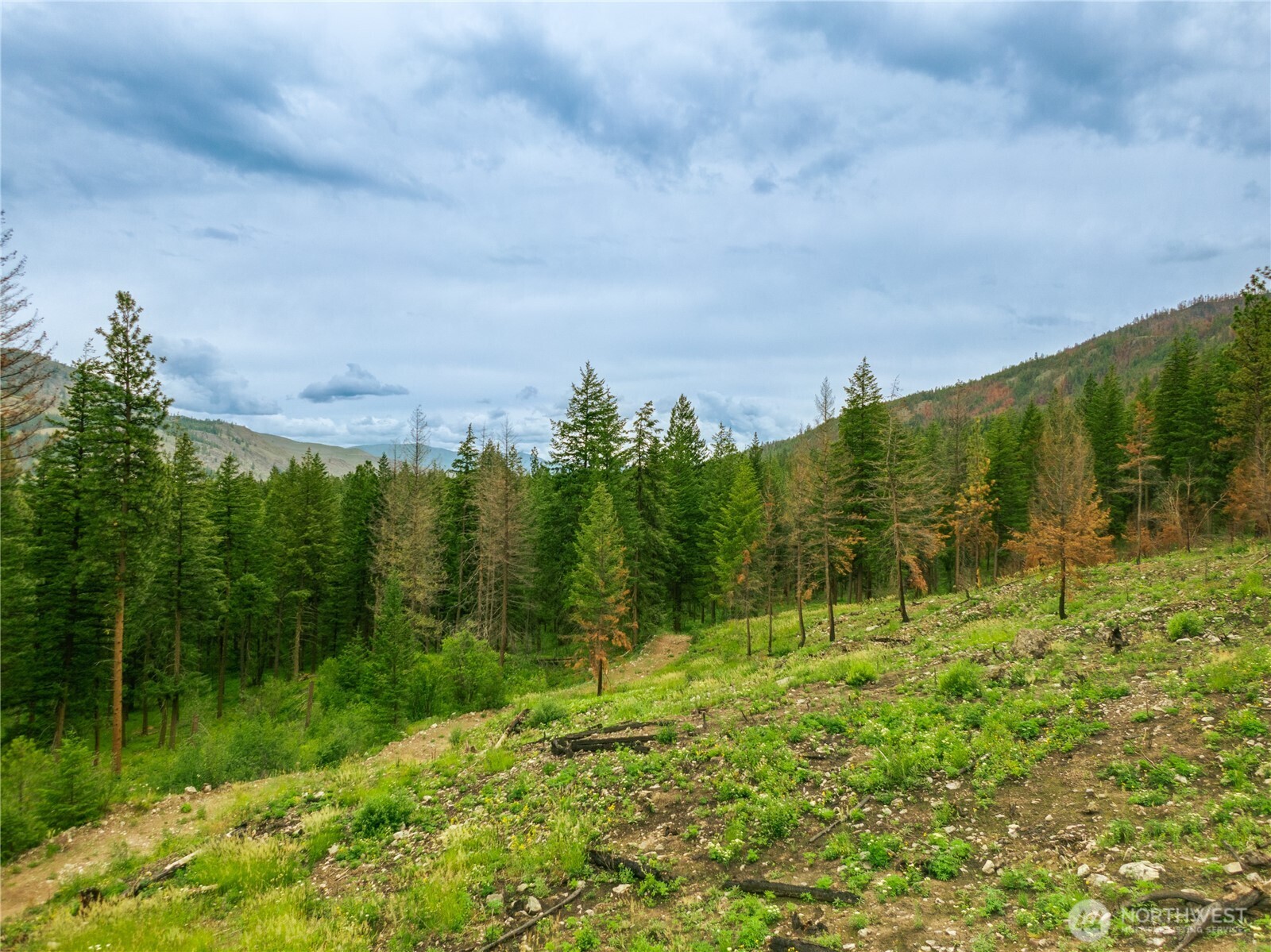 0 Wolf Creek Road Property Photo 2