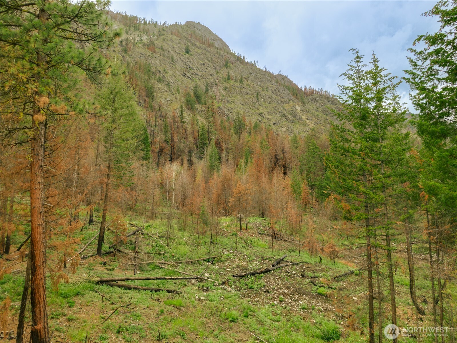 0 Wolf Creek Road Property Photo 4