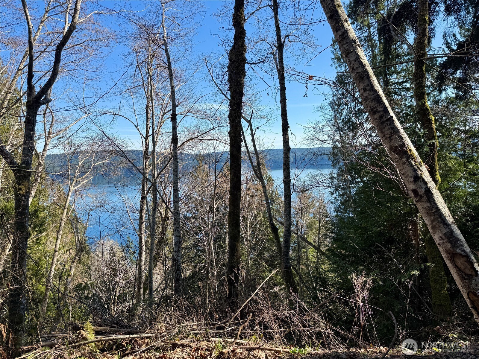 61 Devereaux Drive Property Photo 23