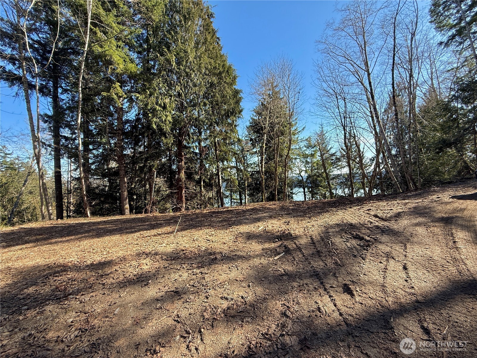 61 Devereaux Drive Property Photo 26