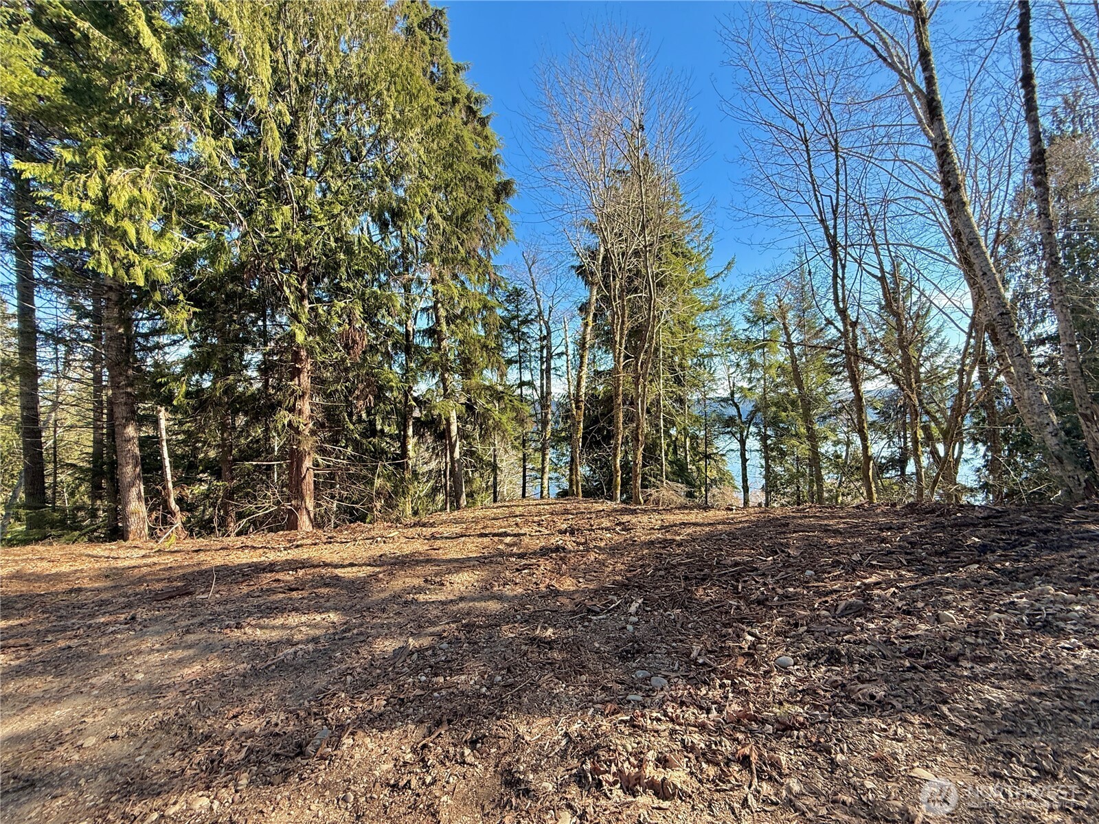 61 Devereaux Drive Property Photo 27