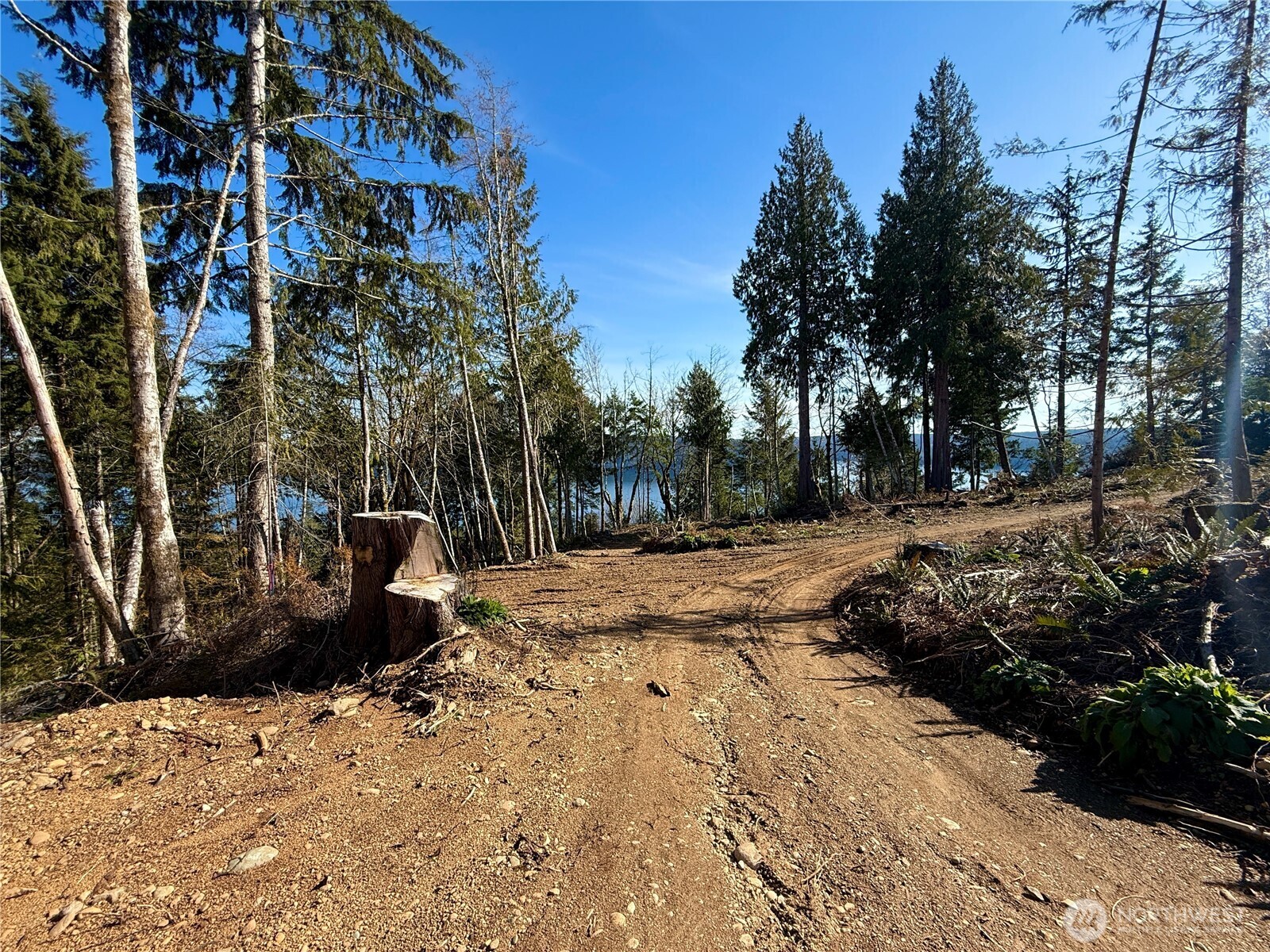 63 Devereaux Drive Property Photo 3