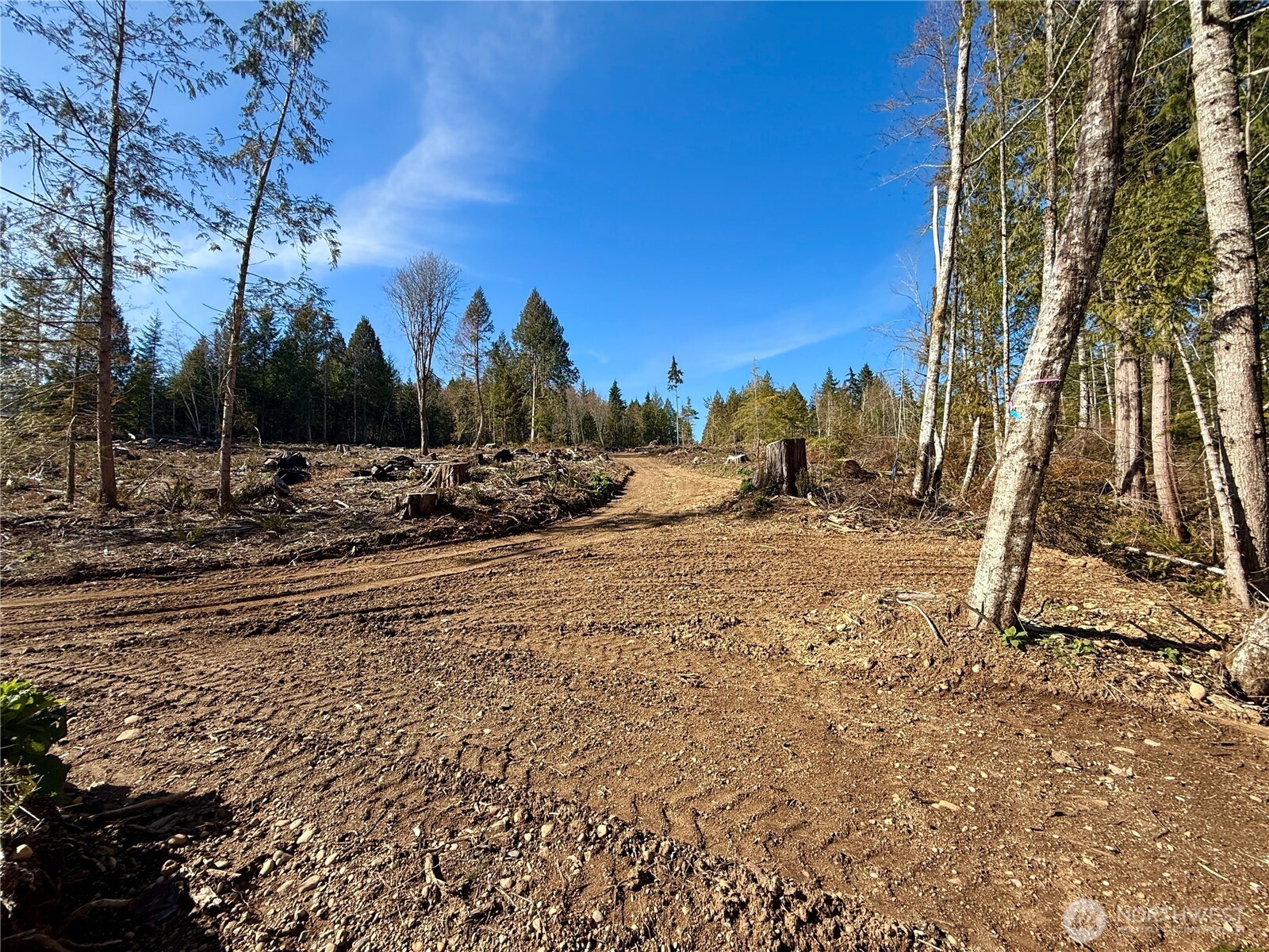 63 Devereaux Drive Property Photo 15