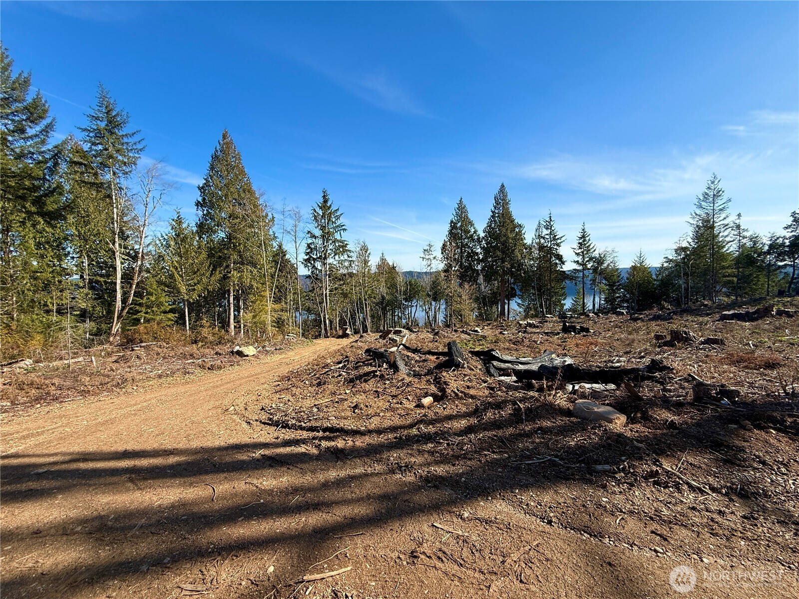 63 Devereaux Drive Property Photo 16
