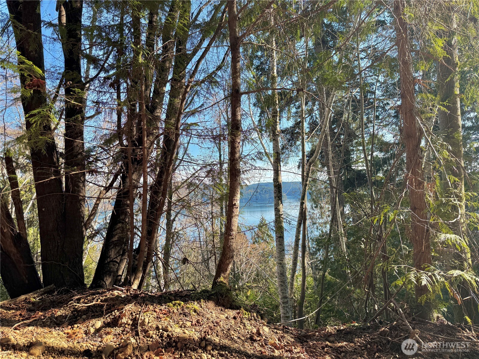 63 Devereaux Drive Property Photo 35