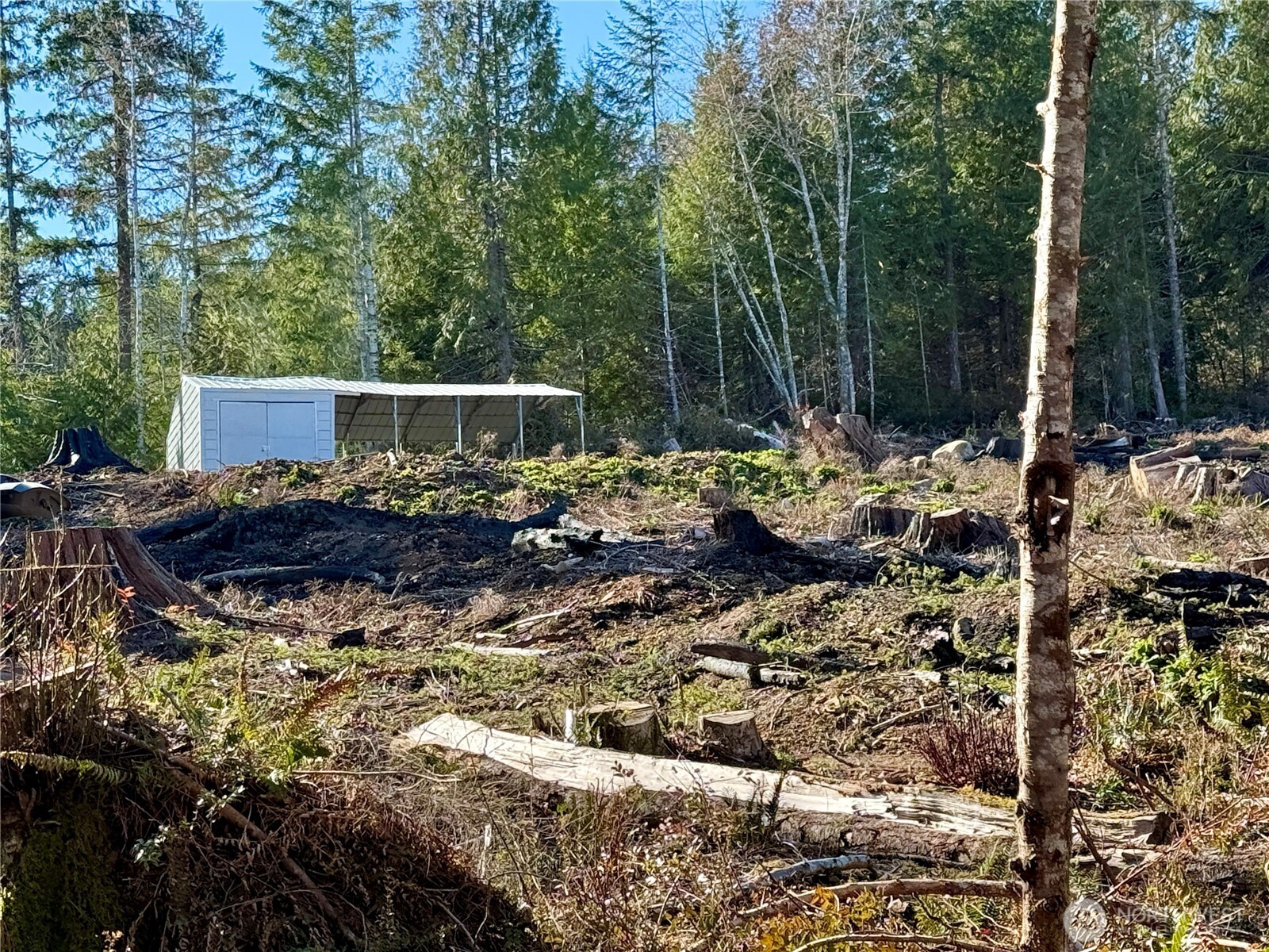 67 Devereaux Drive Property Photo 24