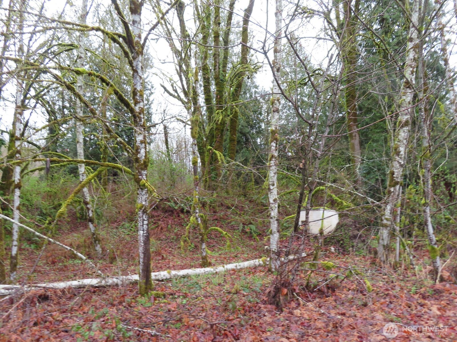 235 Anchor Road Property Photo 7