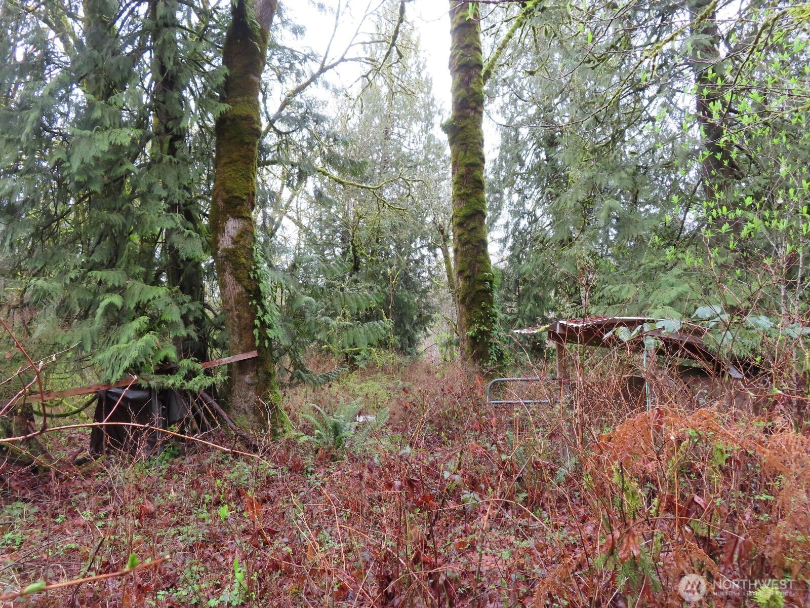 235 Anchor Road Property Photo 9