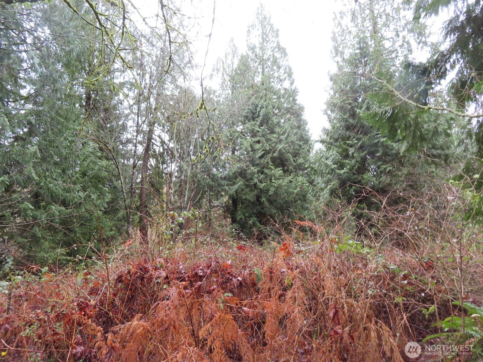 235 Anchor Road Property Photo 11