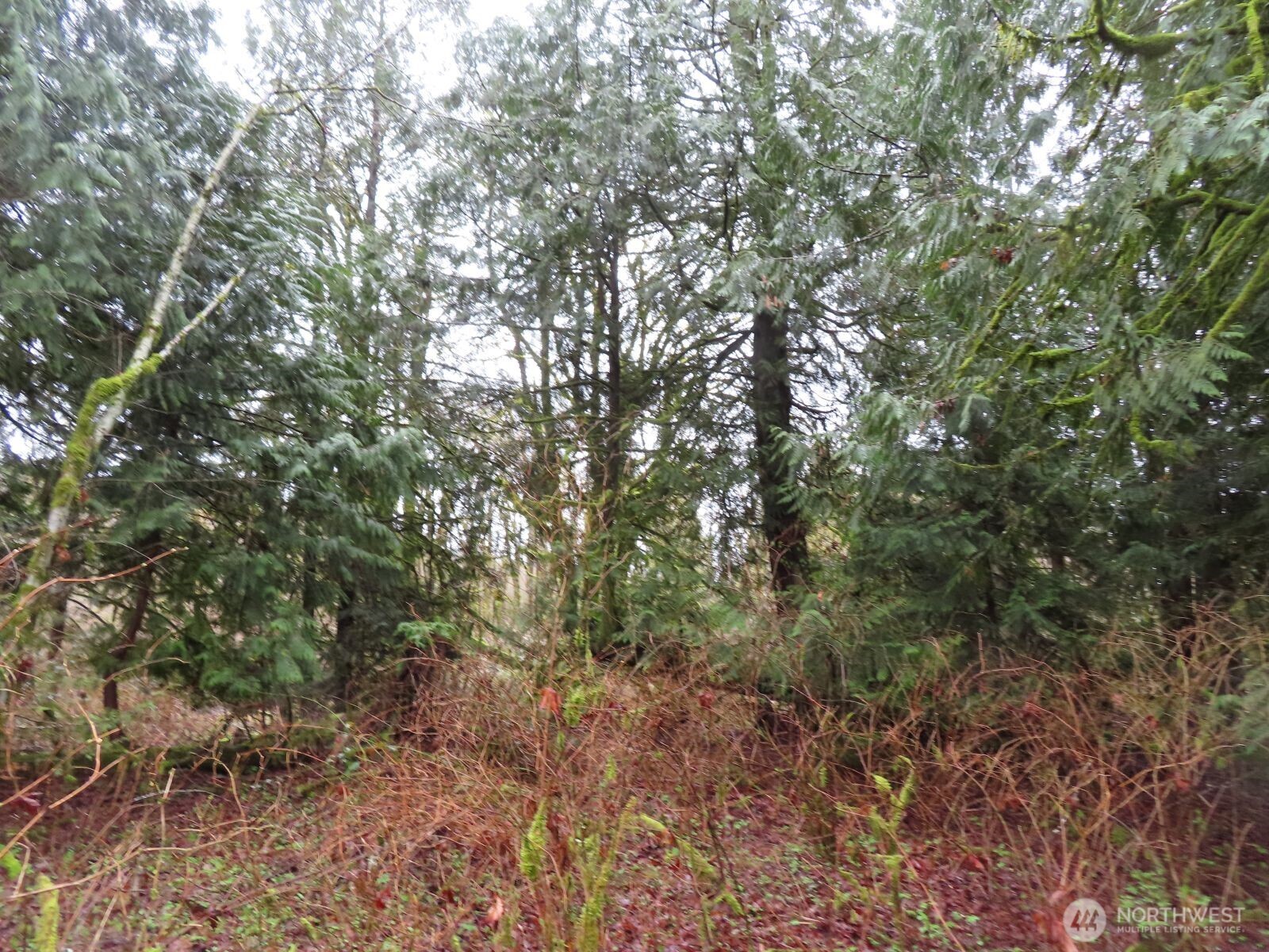 235 Anchor Road Property Photo 13