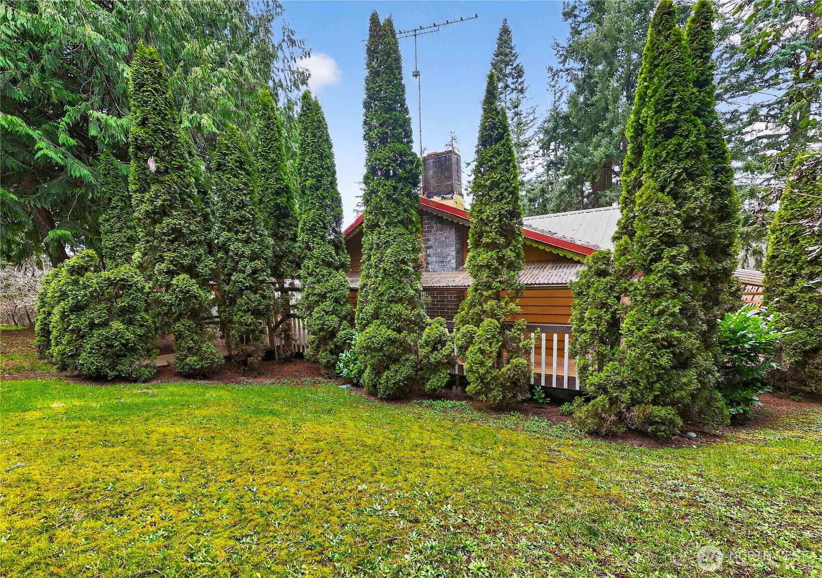 596 Forrest Way Property Photo 3