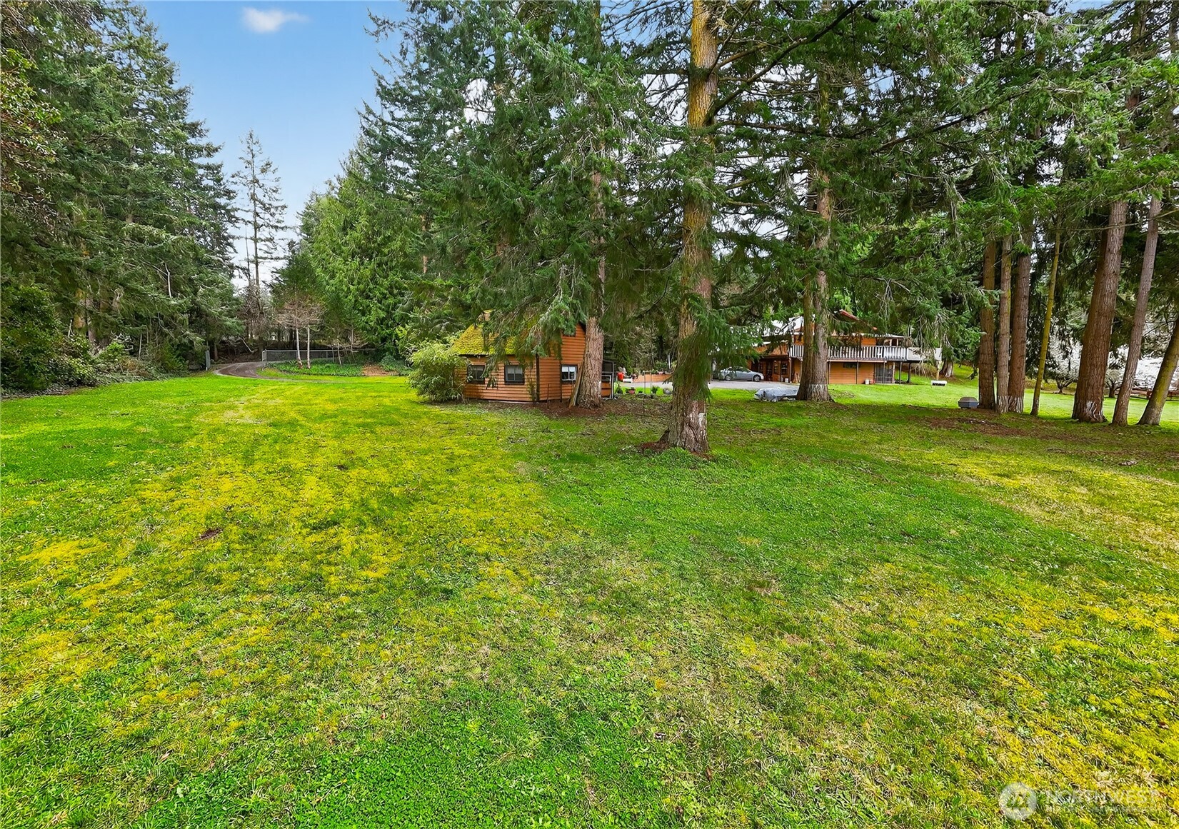 596 Forrest Way Property Photo 4