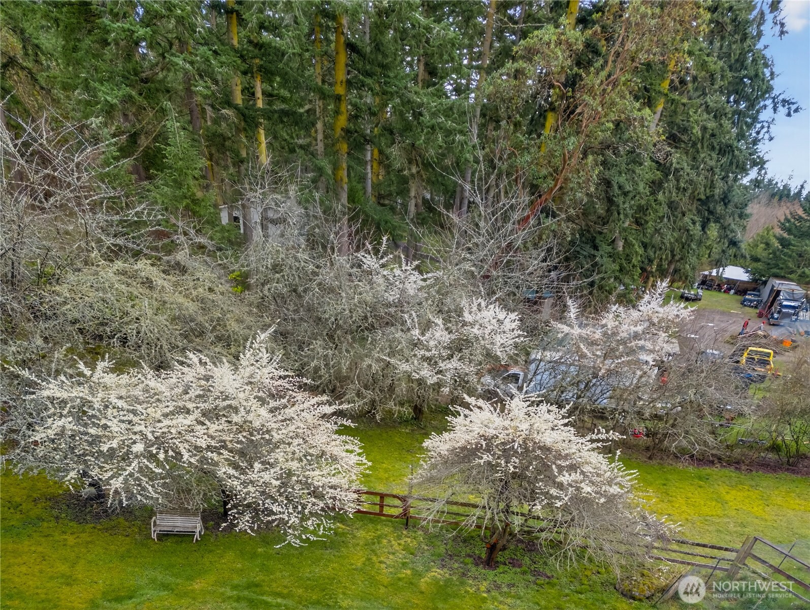 596 Forrest Way Property Photo 36