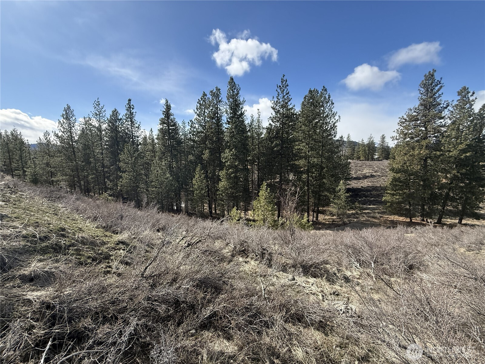 40 Tbd Rabbit House Road Property Photo 11