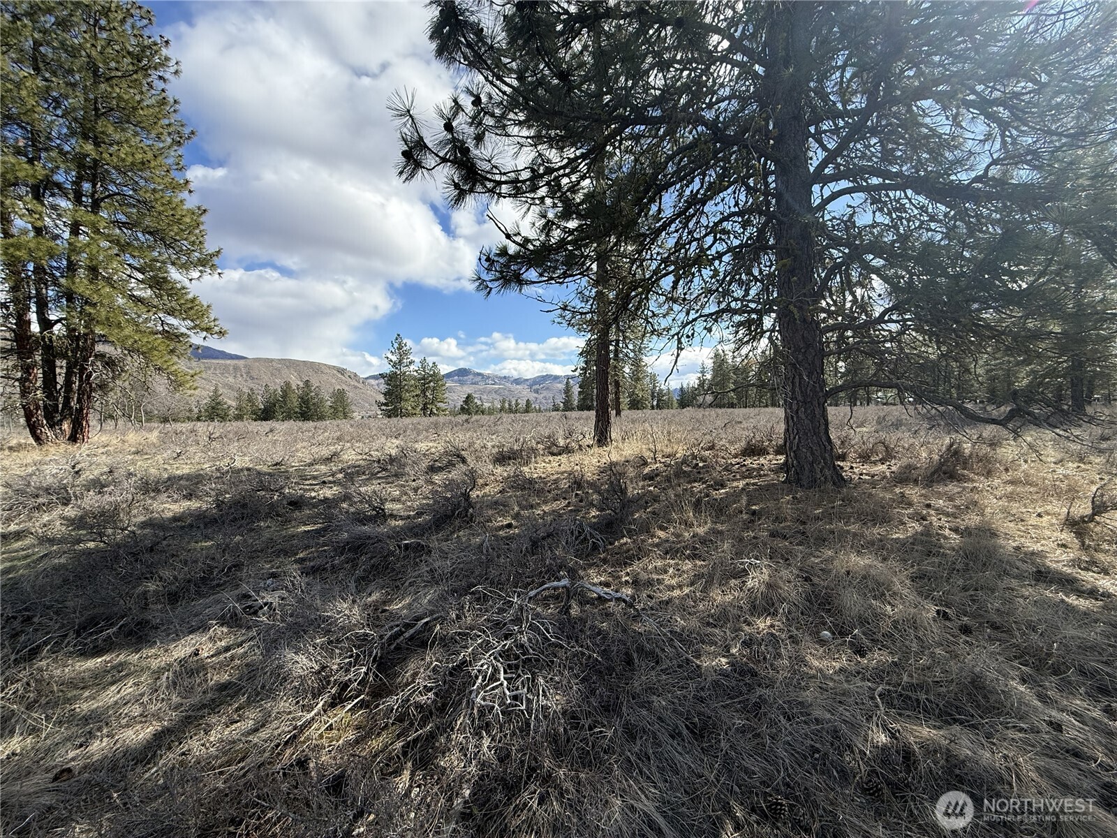 40 Tbd Rabbit House Road Property Photo 17