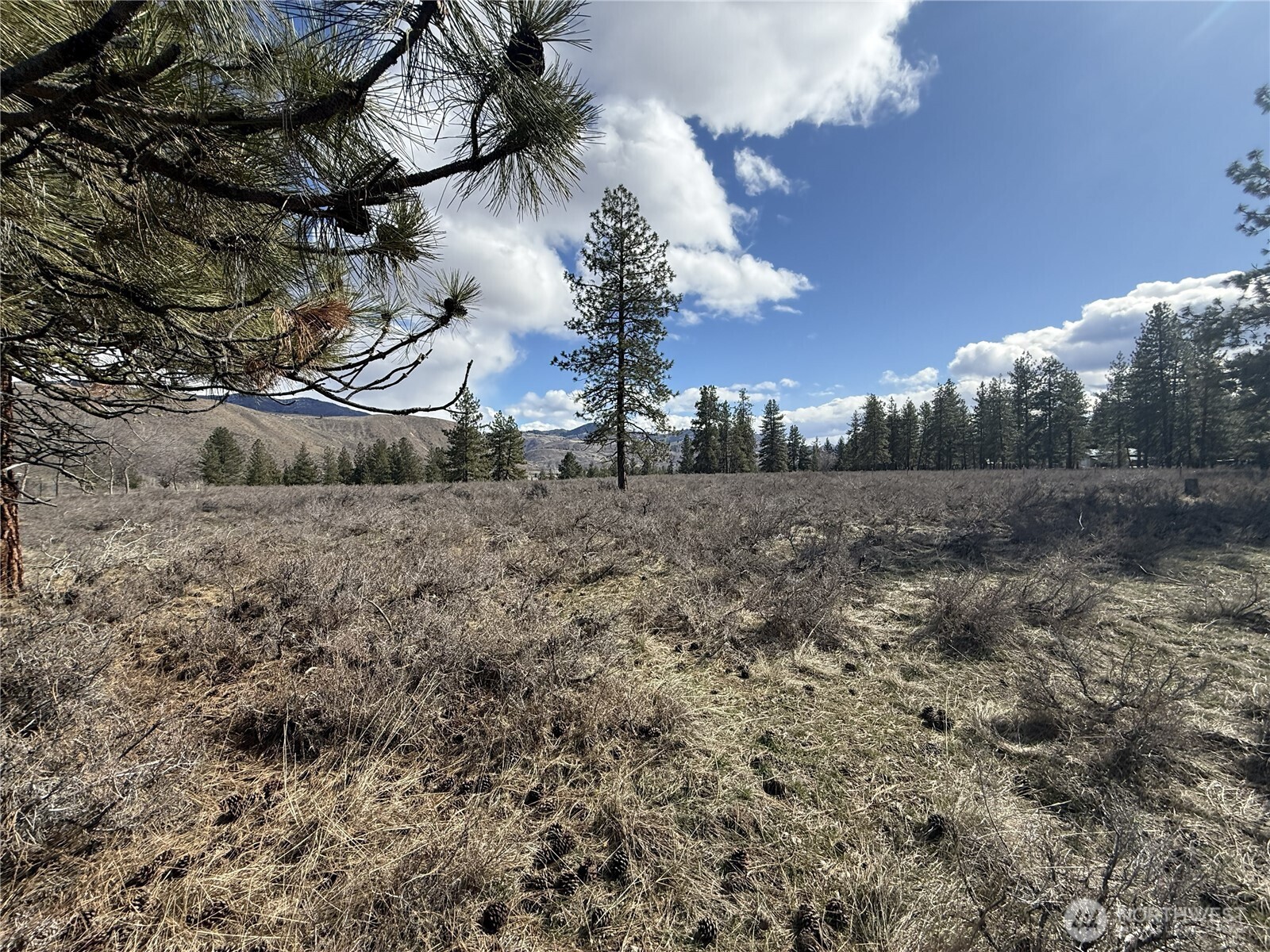 40 Tbd Rabbit House Road Property Photo 18