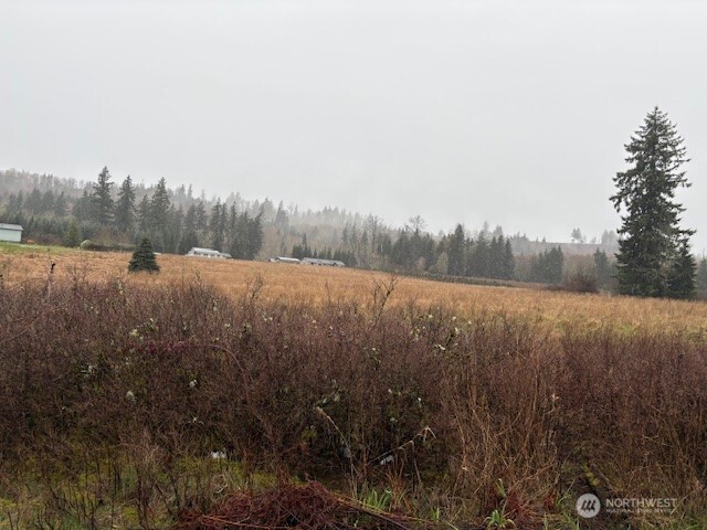 102 Maulwee Drive Property Photo 3