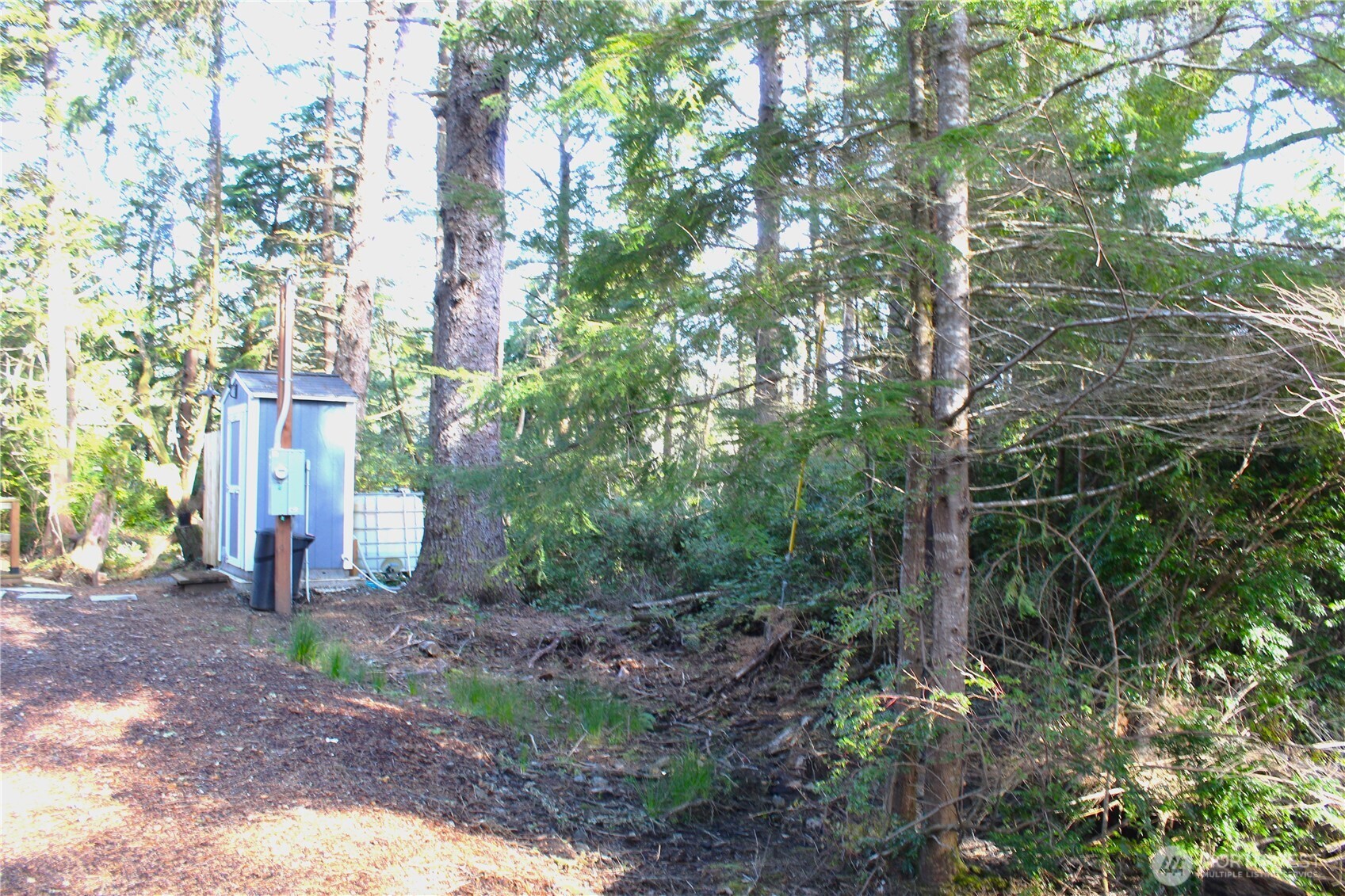 43 Dolphin Lane Property Photo 10