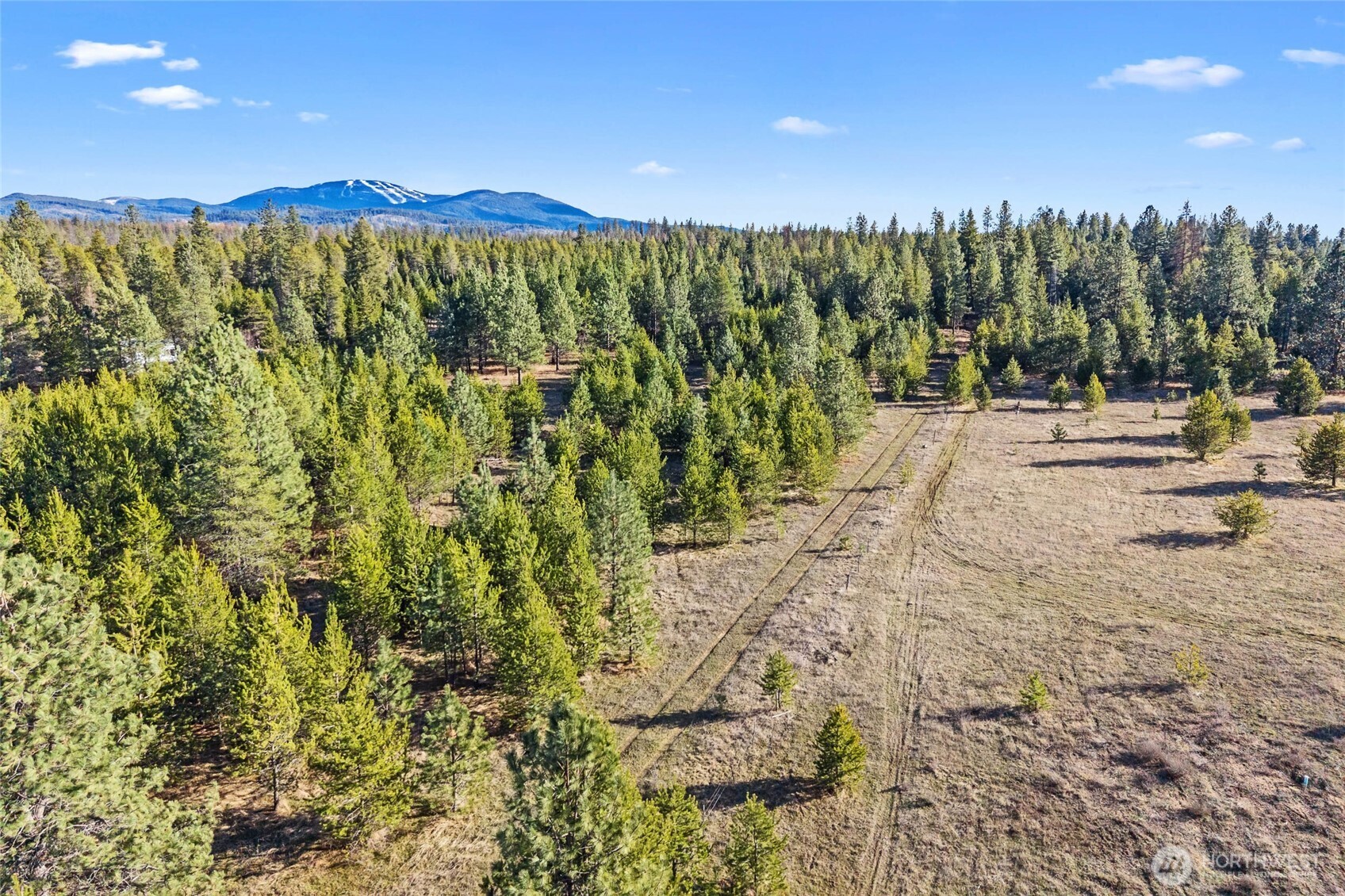 12818 E Bridges Road Property Photo 1