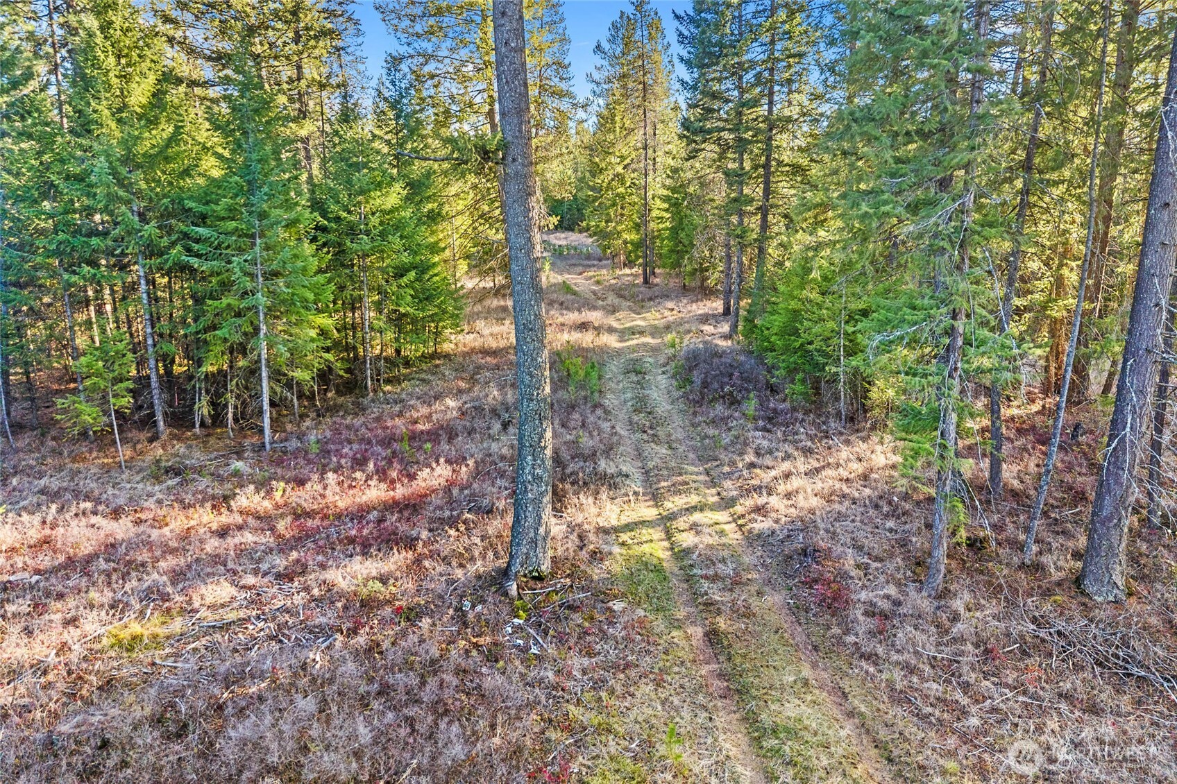 12818 E Bridges Road Property Photo 3