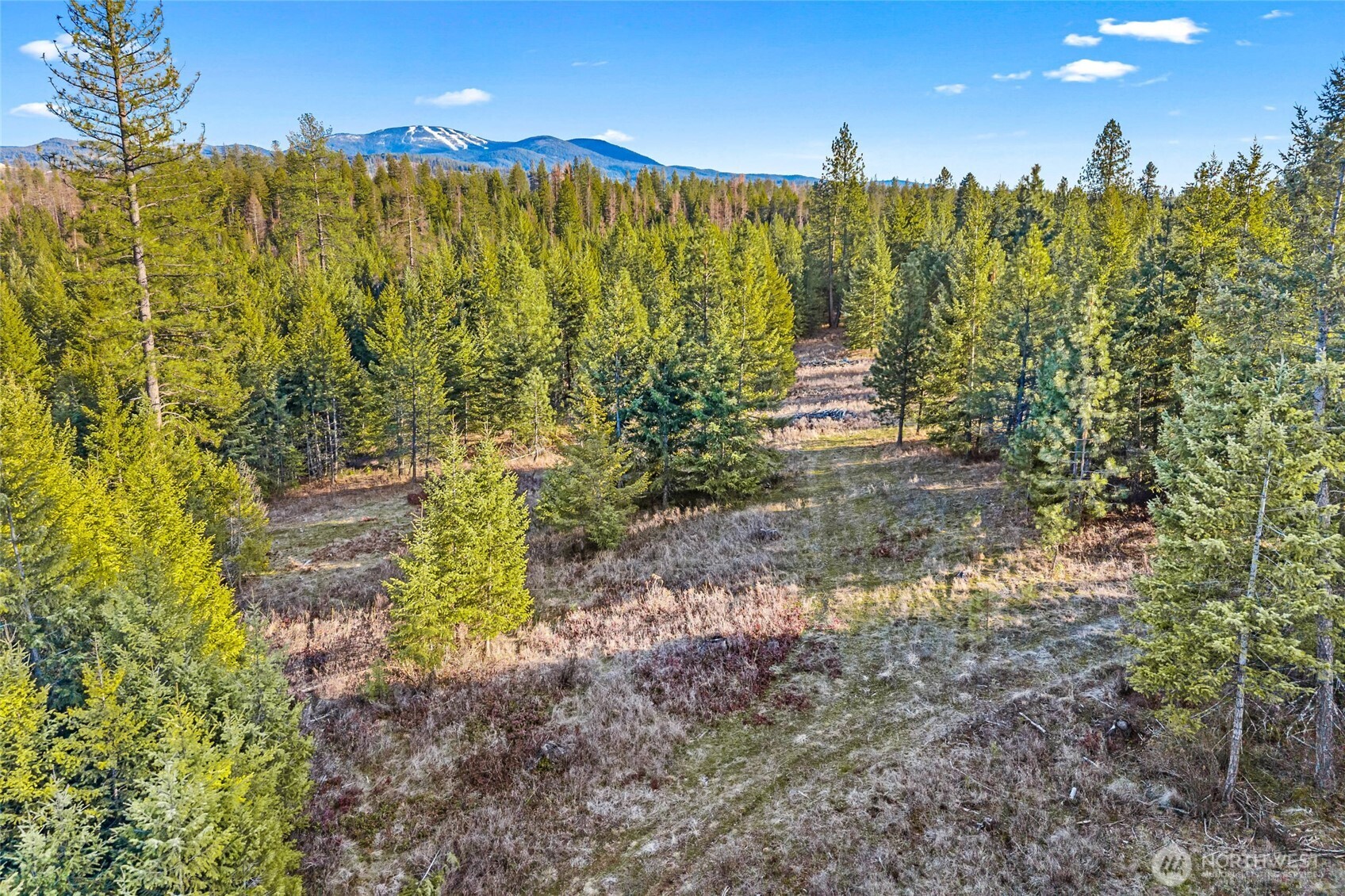 12818 E Bridges Road Property Photo 13