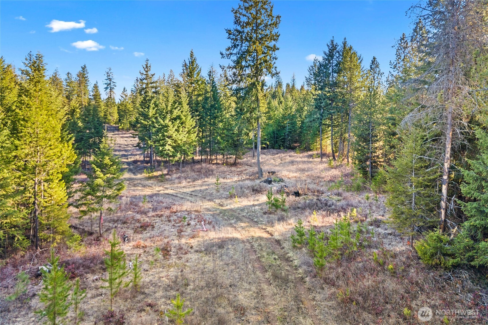 12818 E Bridges Road Property Photo 15